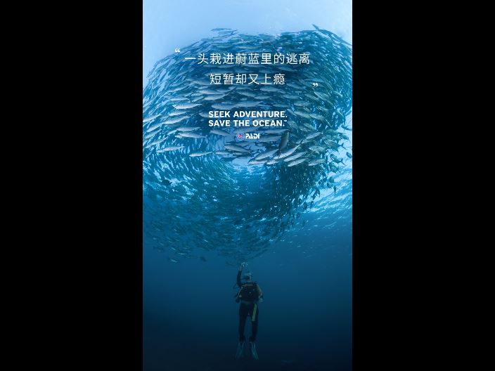 宝马国际娱乐注册注册网站 百汇娱乐官网,水肺潜水