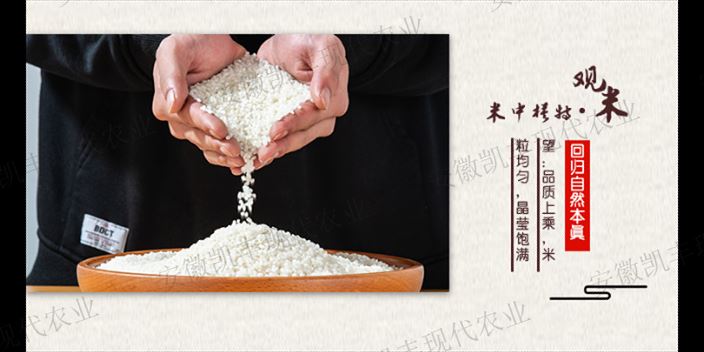 宝马国际娱乐注册注册开户 百利宫线上娱乐下载,葡聚糖大米